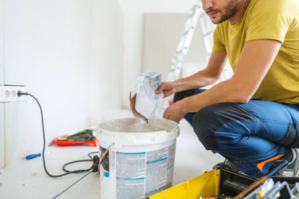 Reliable Andrews, SC Mold Removal Solutions