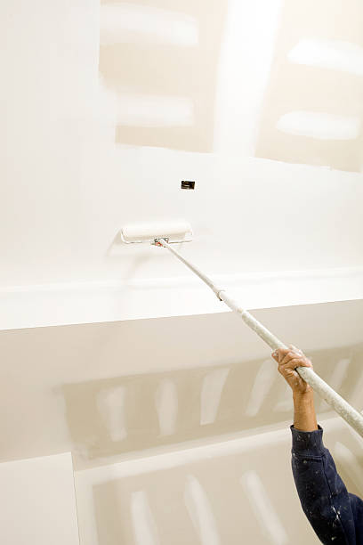 Best Basement Mold Removal  in Andrews, SC