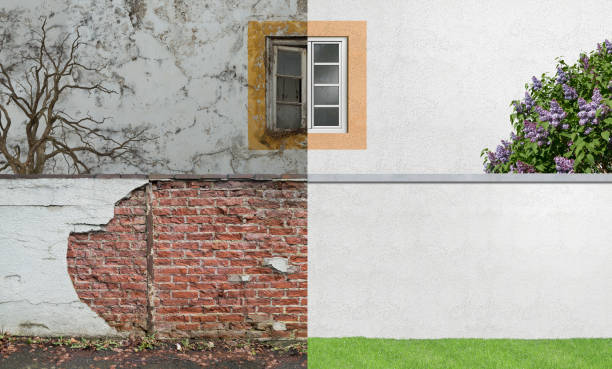 Best Commercial Mold Inspection  in Andrews, SC
